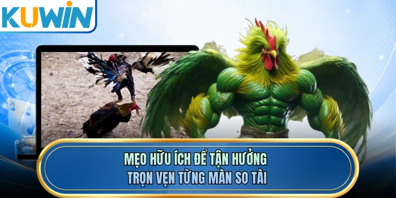 Mẹo hữu ích để tận hưởng trọn vẹn từng màn so tài